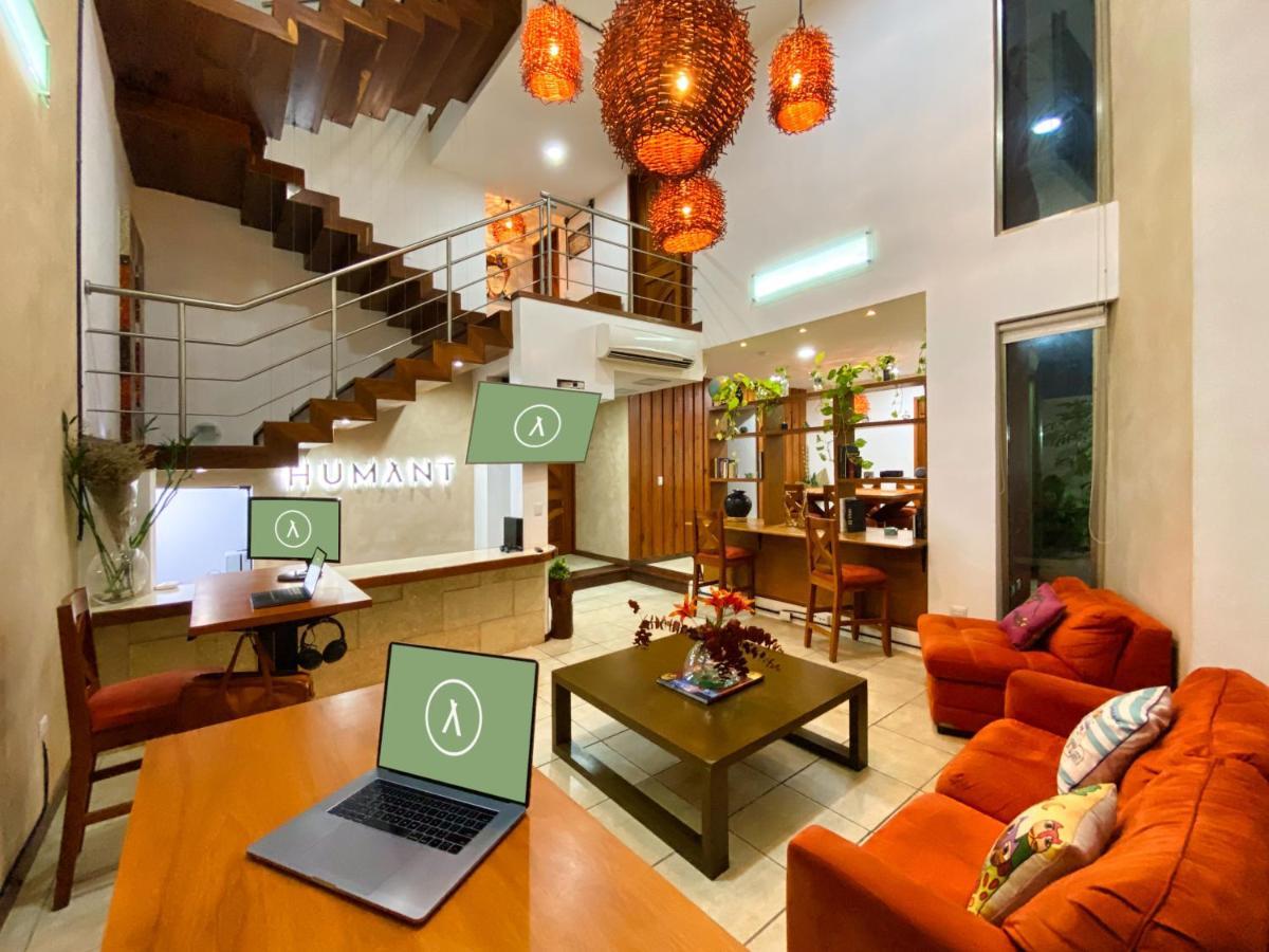Humant Coliving - カンクン エクステリア 写真